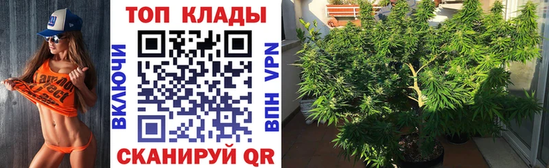 Виды наркотиков купить Кашин Каннабис  КОКАИН  кракен сайт  Меф 
