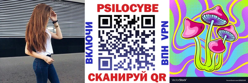 Псилоцибиновые грибы мицелий Кашин